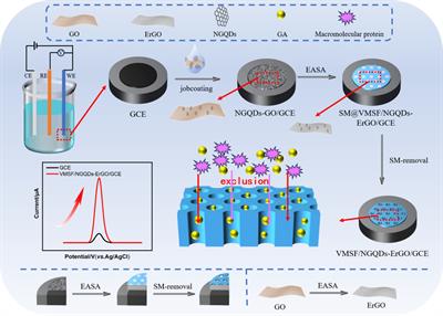 Sensitive detection of gallic acid in food by electrochemical sensor fabricated by integrating nanochannel film with nanocarbon nanocomposite